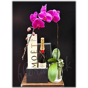 FR45   Moet & Chandon 酩悅香檳 蝴蝶蘭花 送禮Hamper FR45   Moet & Chandon 酩悅香檳 蝴蝶蘭花 送禮Hamper